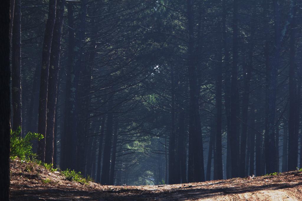 Хостел Oporto Surf Camp Ешморіш Екстер'єр фото